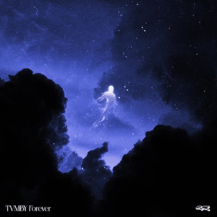 mieć dosyć cover art
